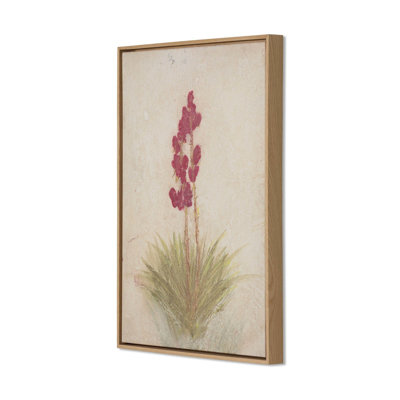 Yucca by Paul Meyer