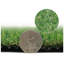 Briceyda 20mm Soft Artificial Grass, Pet-Friendly Artificial Grass-1m(3'3") X 4m(13'1")-4m²