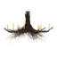 Rustic Lodge 8 - Light Chandelier