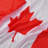Jatari Double Sided 35'' H x 59'' W Polyester House Flag