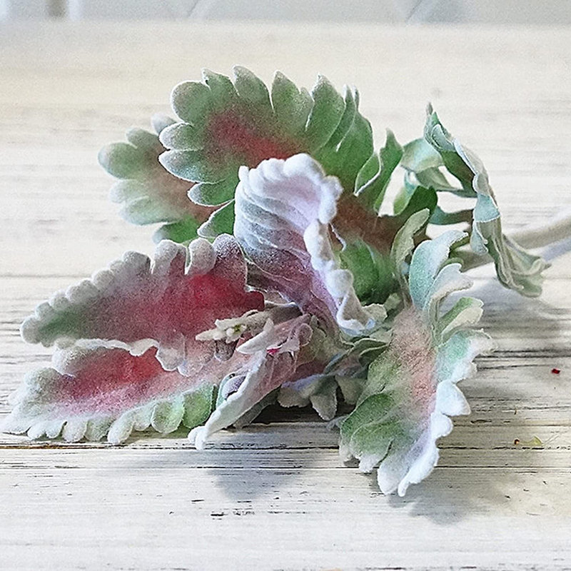 Chrysanthemum Leaf Arrangement
