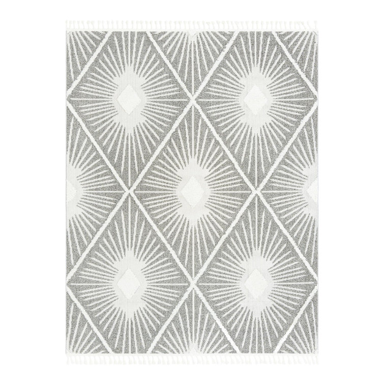 Jojean Geometric Indoor Rug