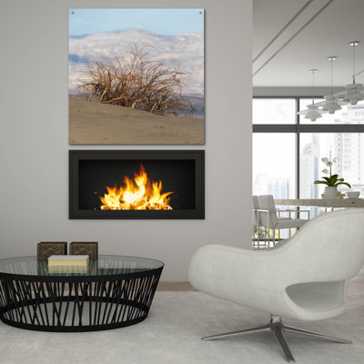  'Desert Tumbleweed' by Epic Portfolio Acrylic Glass Wall Art, 36" x 36"