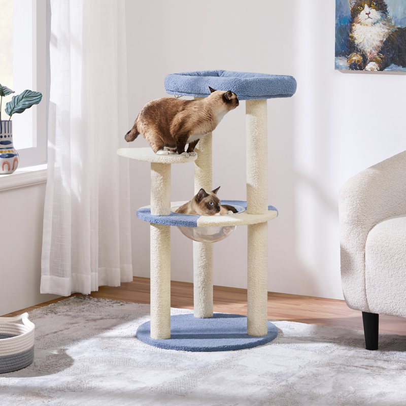 Gillispie Cat Tree with Clear Bowl and Sisal Covering Scratching Posts , Blue/Beige