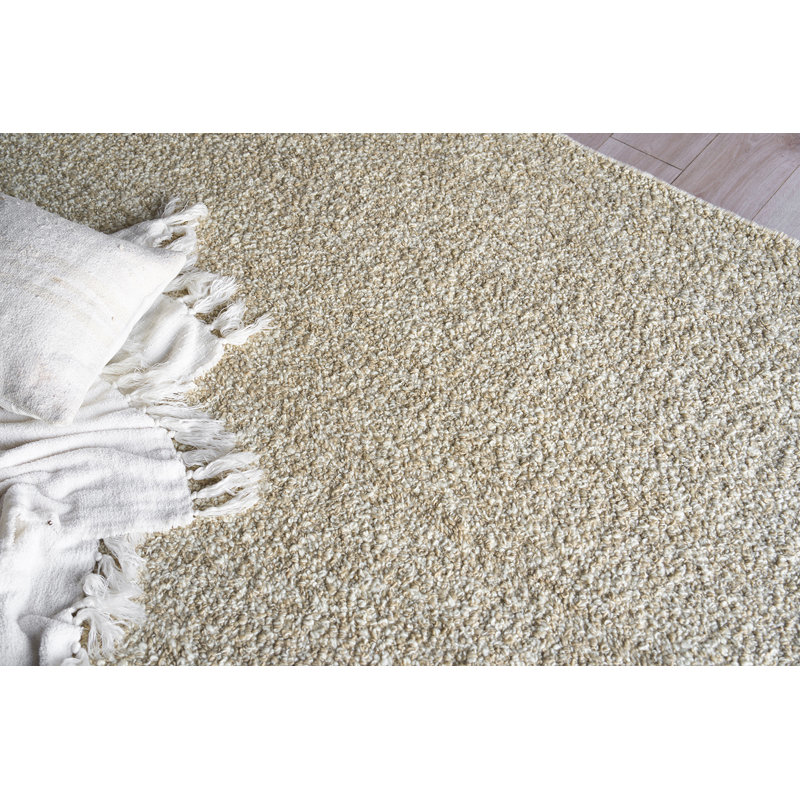 Ferretti Hand Woven Wool Area Rug, Rectangle 6' x 9'