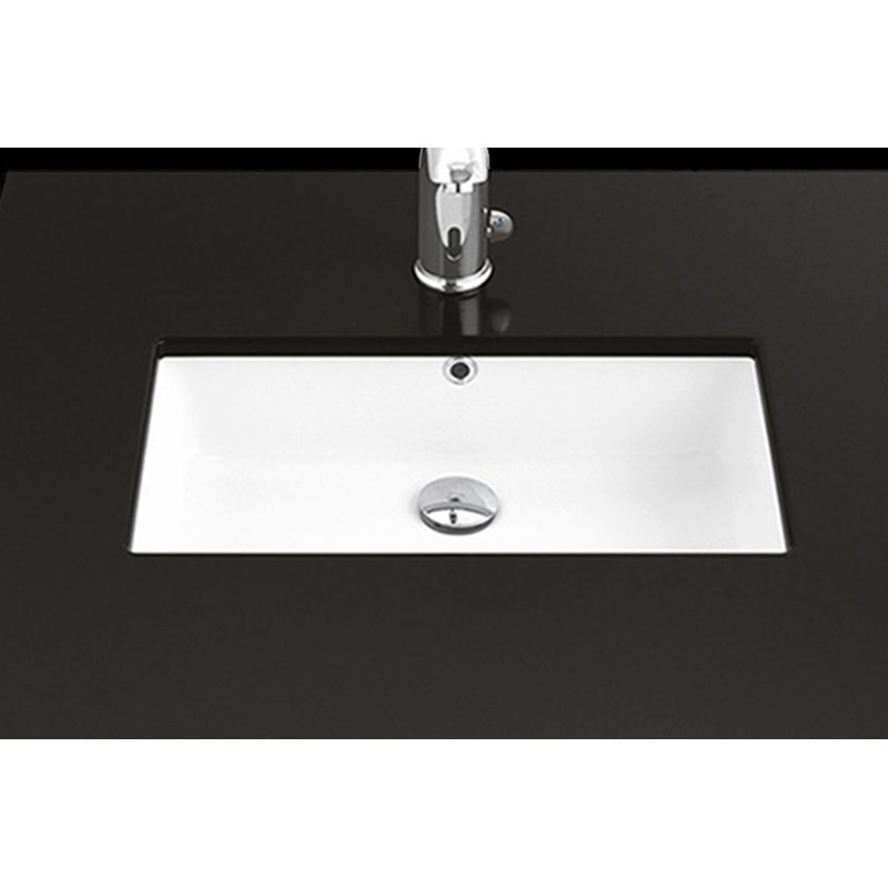 21.9'' L Bathroom Sink