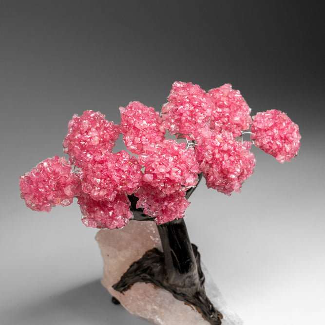 Custom - Genuine Rose Quartz Clustered Gemstone Tree On Rose Quartz Matrix (Unconditional Love Tree)