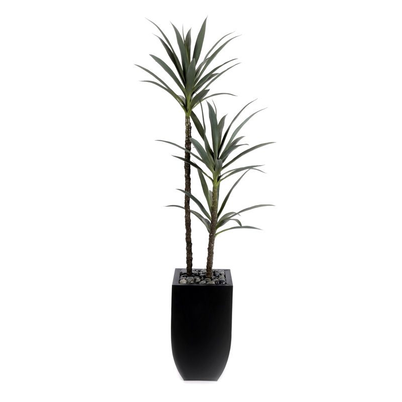 Yucca artificiel 71 po avec cailloux en étain noir 71 po, H 71 po x l 26 po x P 22 po
