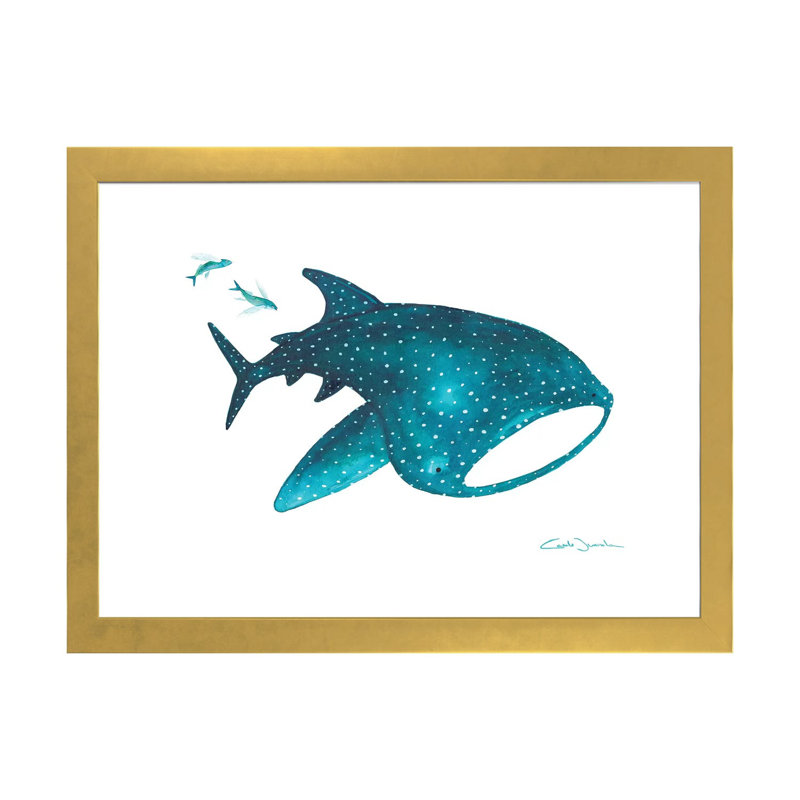 " Whale Shark And Fishes ", White, 24" H x 32" W x 1" D, Gold Framed Paper