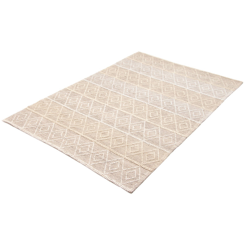 Iamandi Performance Hand Braided Wool Rug