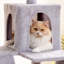Grand condo 64 "pour chat-848029378-827456025