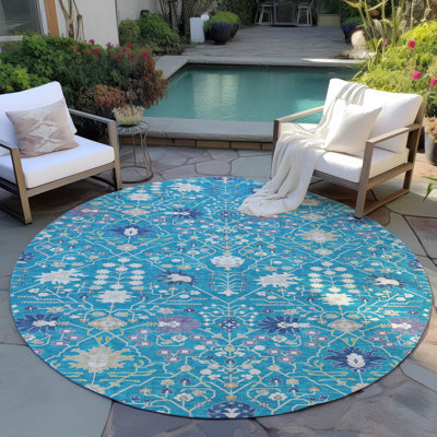 Chayden Indoor/Outdoor Chantille ACN1009 Area Rug