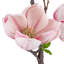 Polyethylene (PE) Magnolia Arrangement-362032222