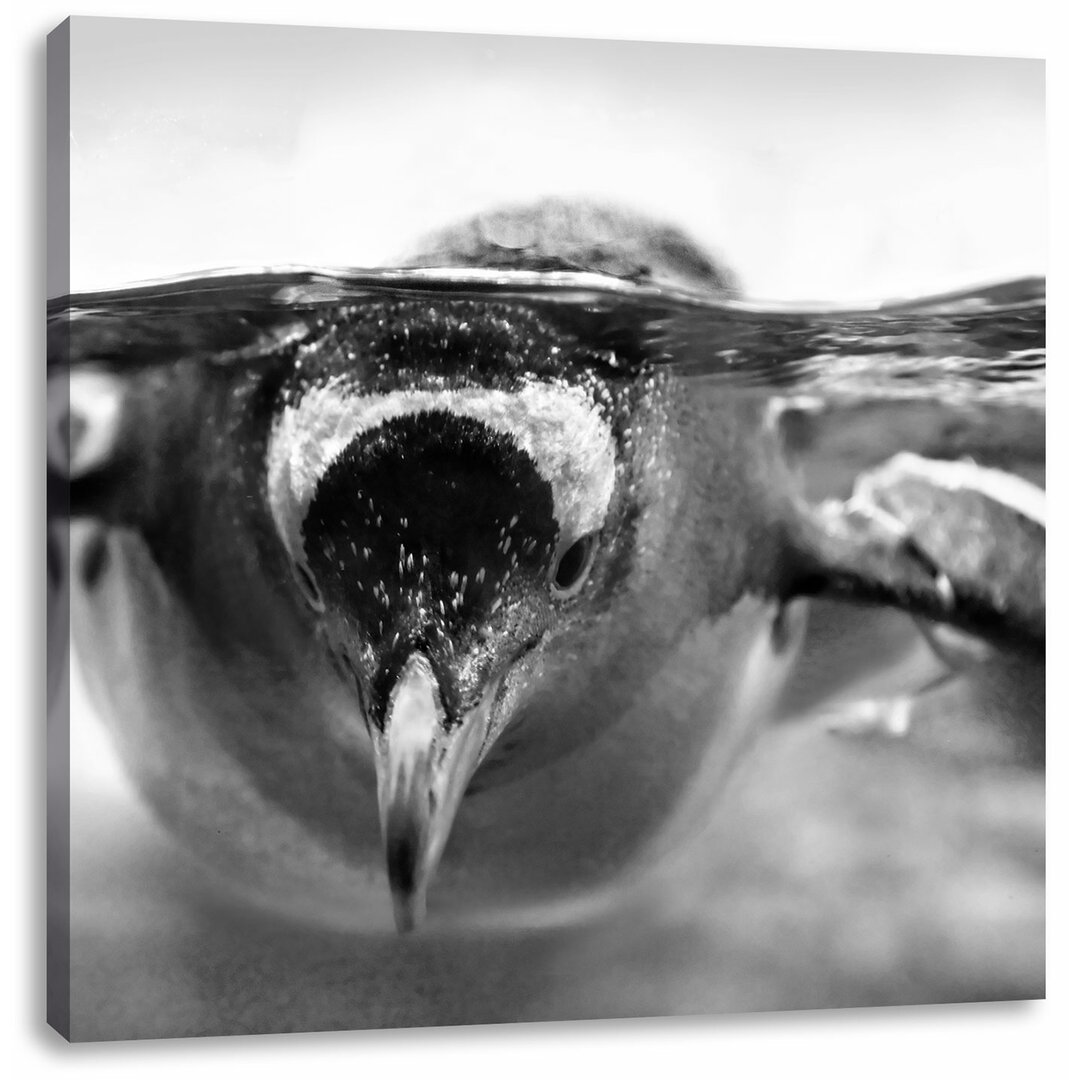 Leinwandbild Pinguin im Wasser