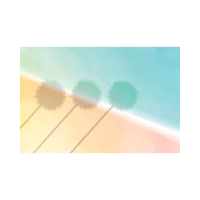 Palm Shadow - Wrapped Canvas Print, 20.32 cm H x 30.48 cm W