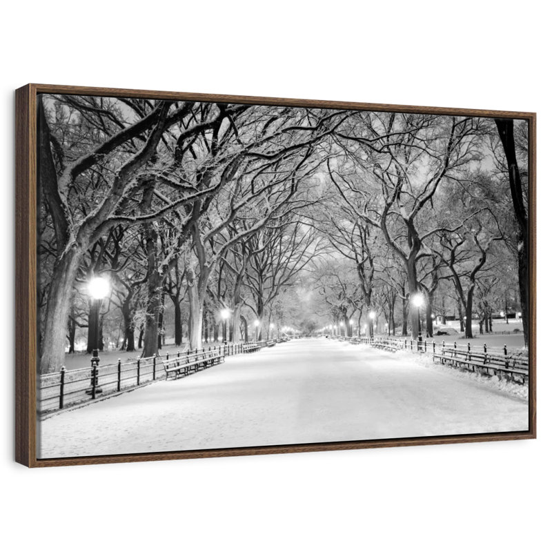 Central Park White Winter, 37" X 25", Floating Frame Walnut