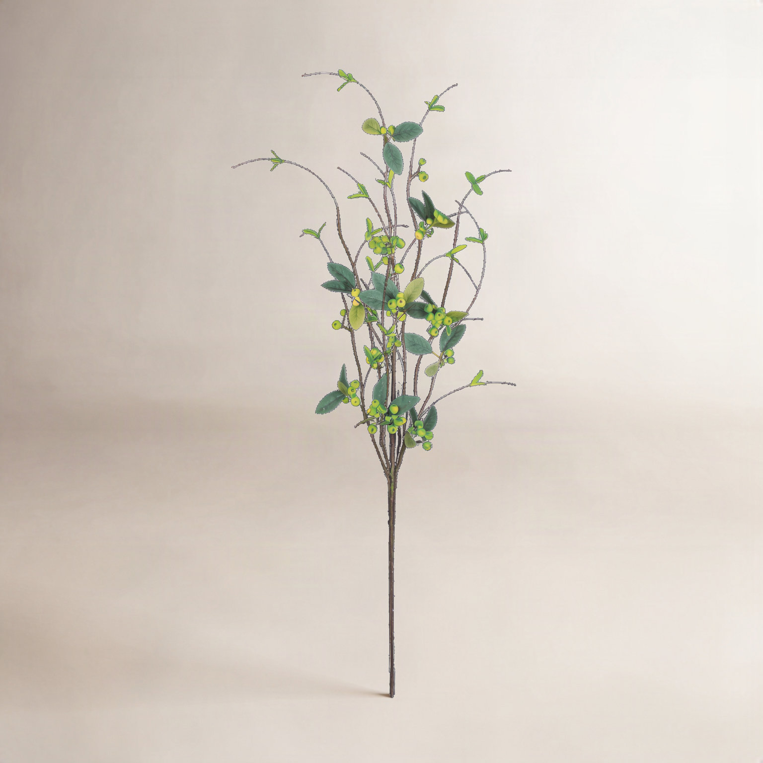 Berry Twig Stems