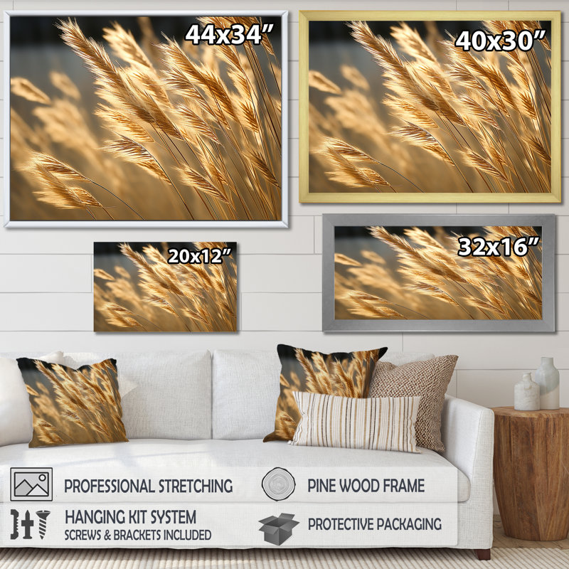 «High Grass Meadow Golden Dream» sur toile, Cadre simple noir, H 30 po x l 40 po x P 1,5 po