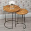 Caryn Frame Nesting Tables