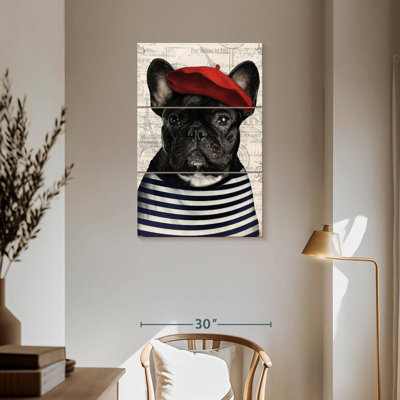 Brampt Adorable French Bulldog