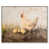 Silver Floater Framed