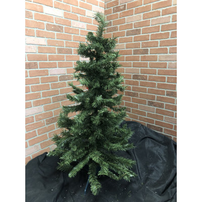 50' Christmas Tree