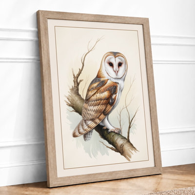 Barn Owl At Rest Botanical - Print