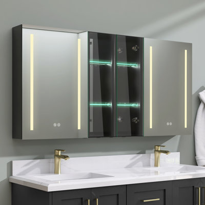 Crina 60'' W 30'' H Aluminum Surface Mount Frameless Medicine Cabinet with 8 Shelves and Lighting