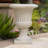 ITALIAN URN-1925670454