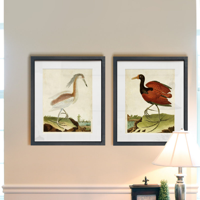 Heron portrait III-ensemble de 2 reproductions d’art sur papier encadrée