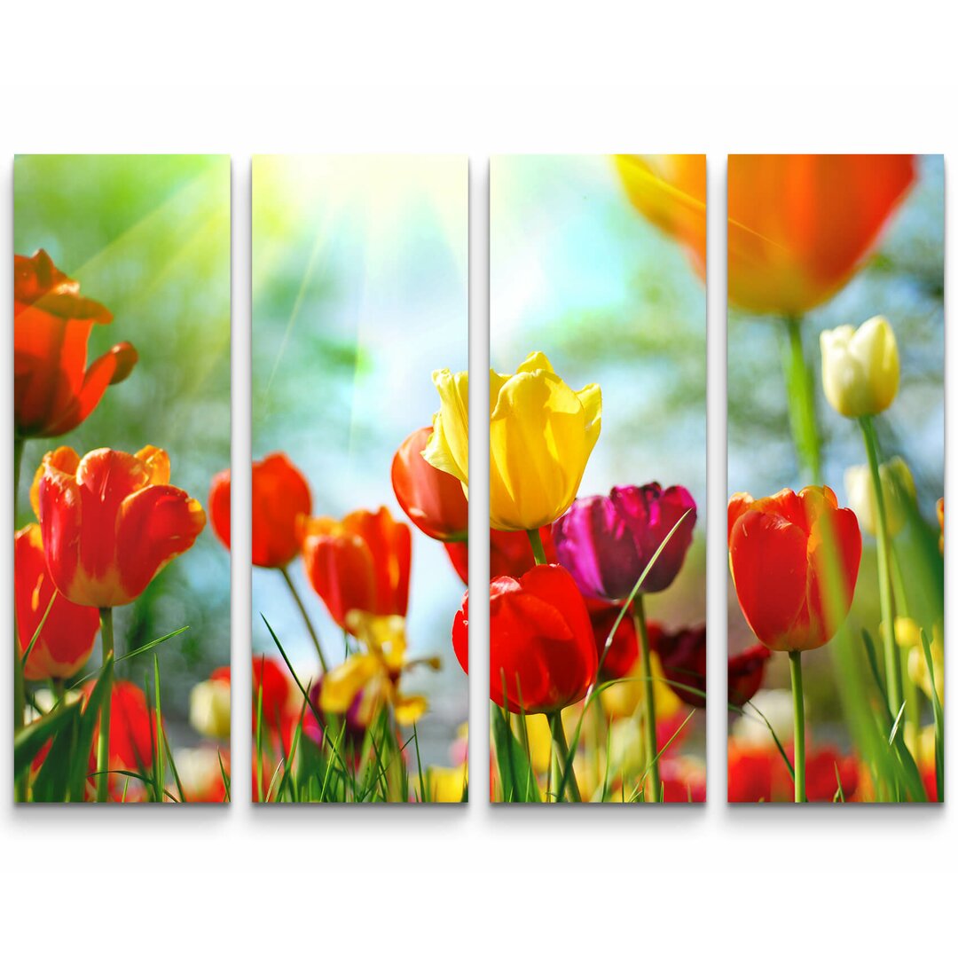 4-tlg. Leinwandbilder-Set Bunte Tulpen im Sonnenschein