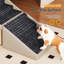 Rampe pliable pour chien 2 en 1 pour lit et canapé