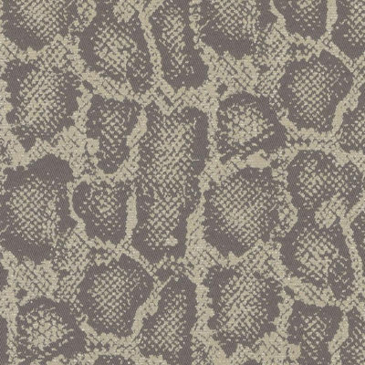Tissu Sophisticated Suite II
