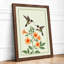 Hummingbirds at Bloom Botanical - Framed Print-698894902-698894903