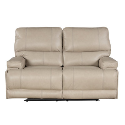 Adlan 65.5'' Leather Power Reclining Loveseat