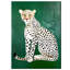 1 Piece Wrapped Canvas Wall Art