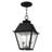 Arnetria 2 - Light Outdoor Hanging Lantern-22670195
