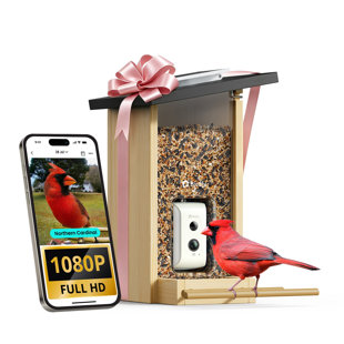 Mangeoire d'oiseaux avec caméra Birdfy Smart