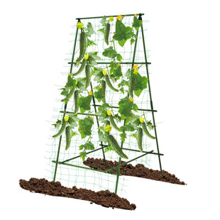 70.9" H X 35.5" W A-frame Cucumber Trellis For Climbing Plants Support For Raised Bed Garden Trellis For Vegetables Fruit Vine Cucumber Garden Lightweight, Green