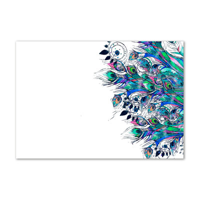 Peacock Feathers - Wrapped Canvas Print