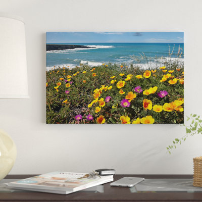 " California Poppy And Iceplant, Montano De Oro State Park, California " by Tim Fitzharris