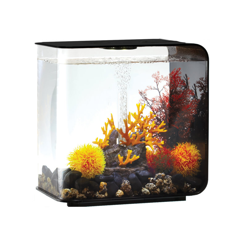 Black Acrylic 8-Gallon Rectangle Aquarium with Stand