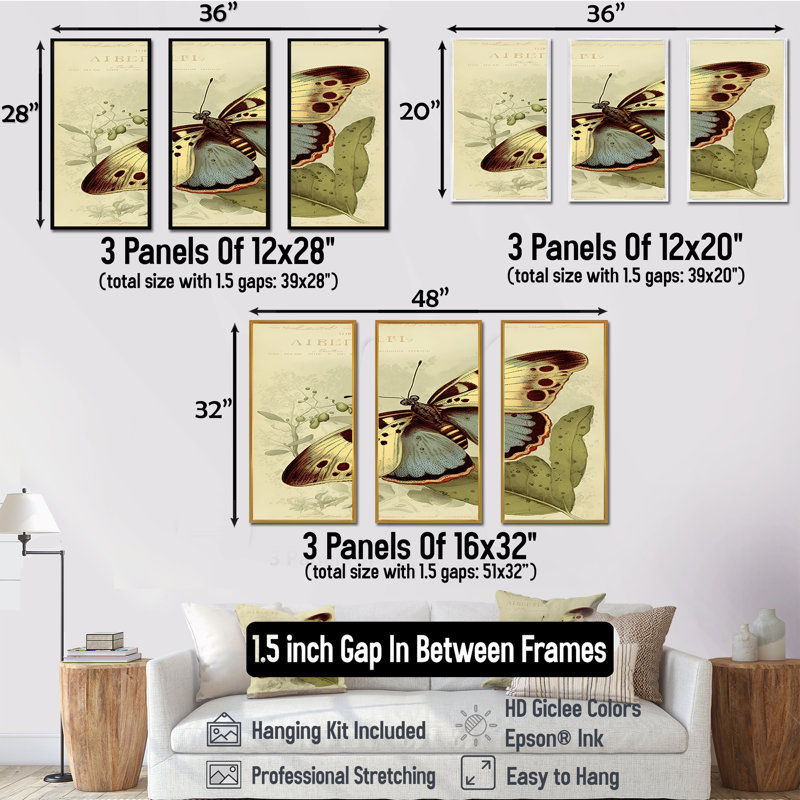 Illustration rétro de papillons III - animaux, ensemble d'art mural sur toile_80514, H 20 po x l 36 po x P 1 po