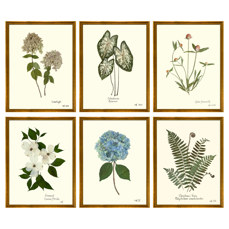 Pressed Botanical Set by Sandy Whitaker, Antique Gold, 42.5" H x 51.75" W