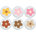Brown/Yellow/Pink