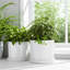 Handmade Ceramic Planter Set