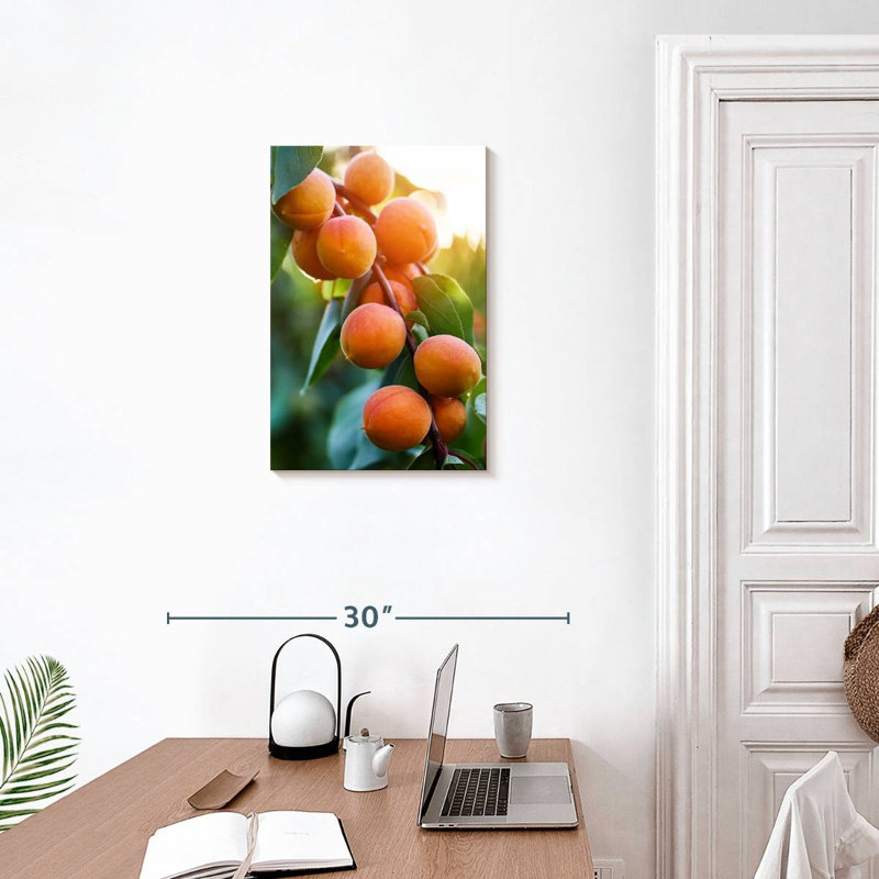 Abricots sur une branche, H 24 po x l 16 po