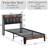 Fateemah Upholstered Faux Leather Bookcase Bed with Shelves-1990574309