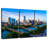 Austin Aerial View-2088801991