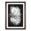 Tree Branches in Central Park New York - Framed Print-56851929-56851930